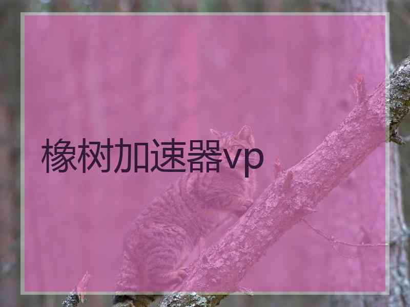 橡树加速器vp