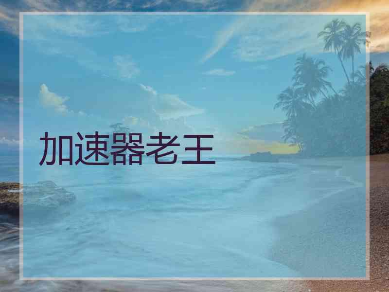 加速器老王