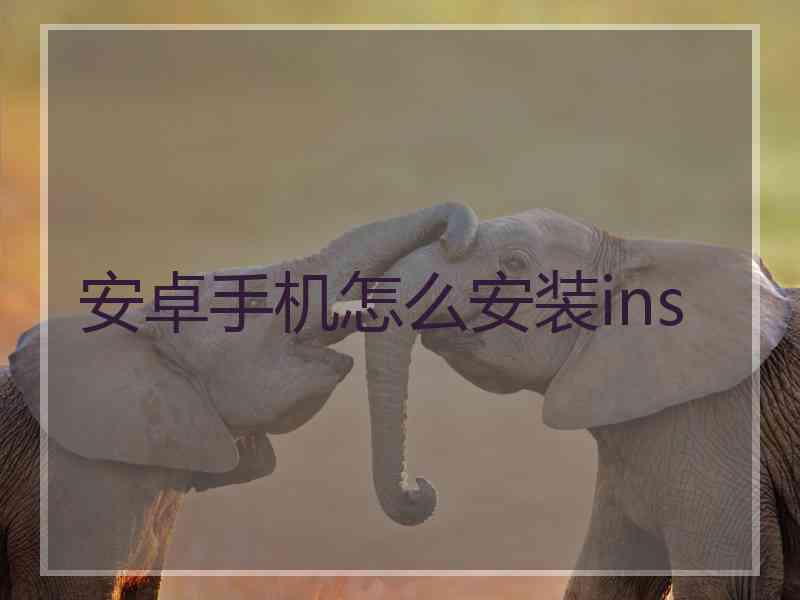 安卓手机怎么安装ins