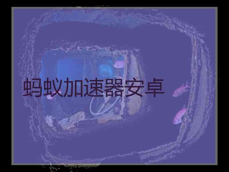 蚂蚁加速器安卓