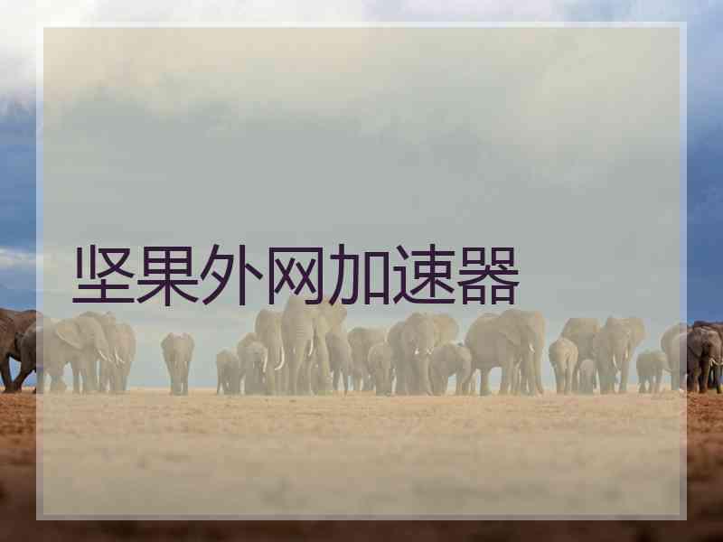 坚果外网加速器