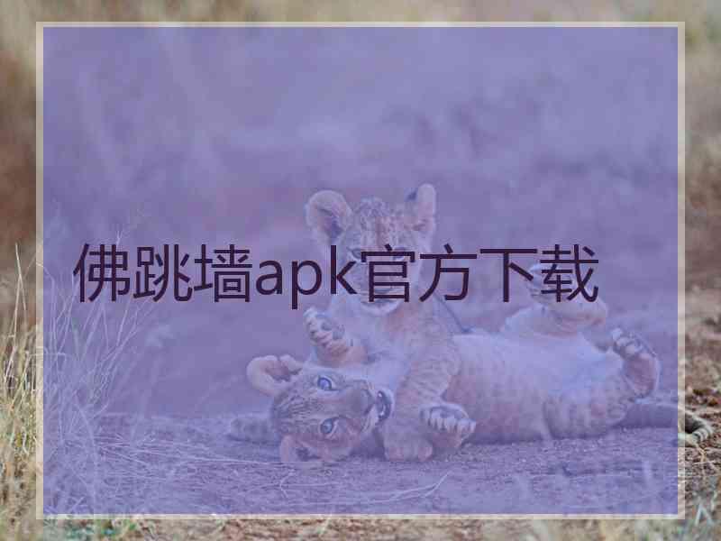佛跳墙apk官方下载
