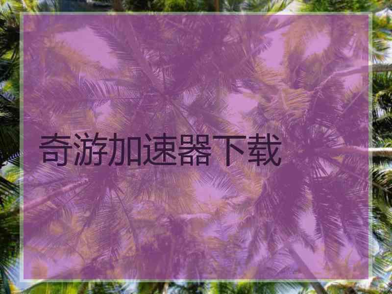 奇游加速器下载
