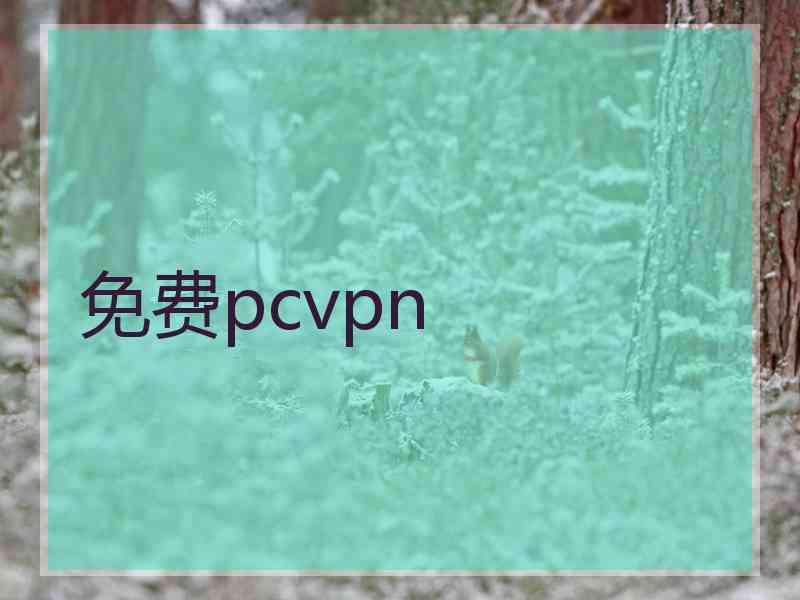 免费pcvpn