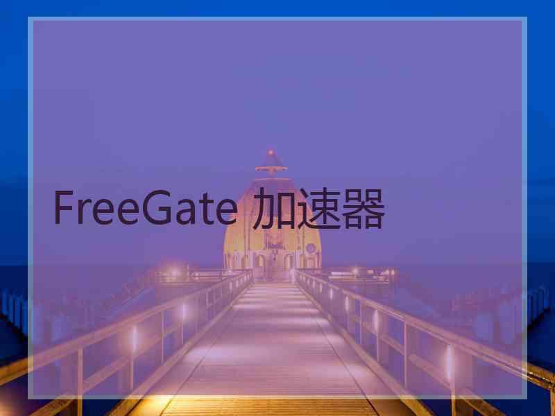 FreeGate 加速器