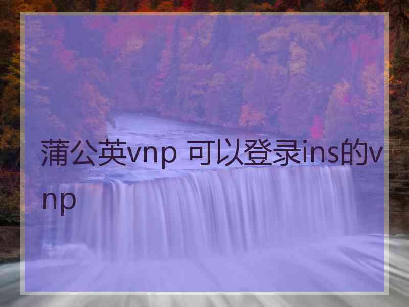 蒲公英vnp 可以登录ins的vnp