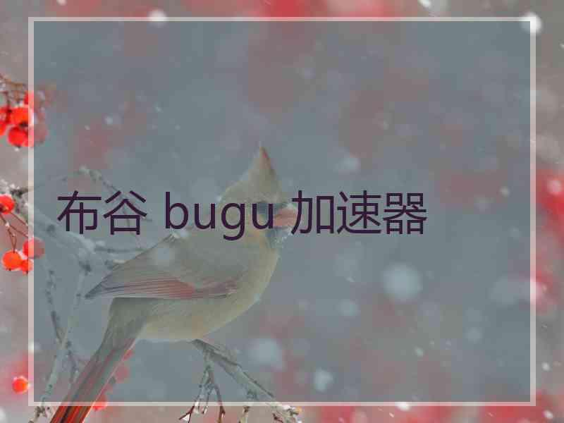布谷 bugu 加速器
