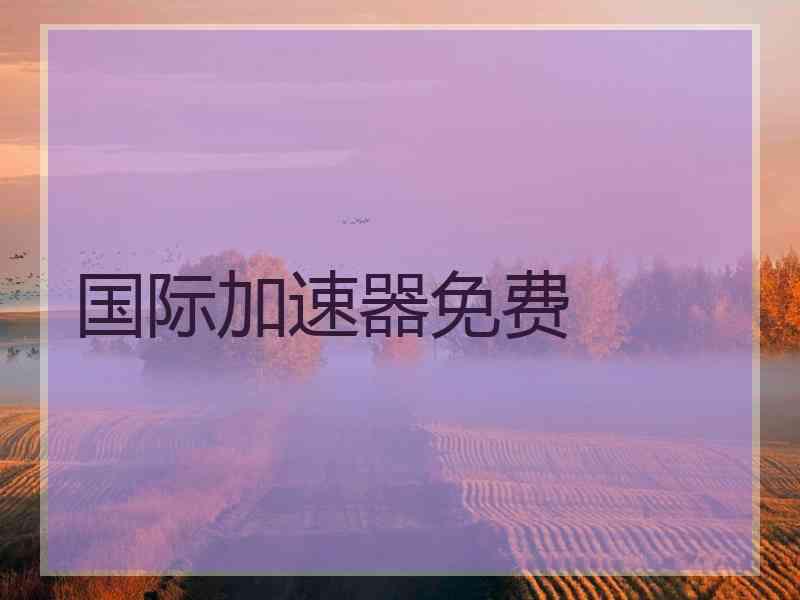 国际加速器免费