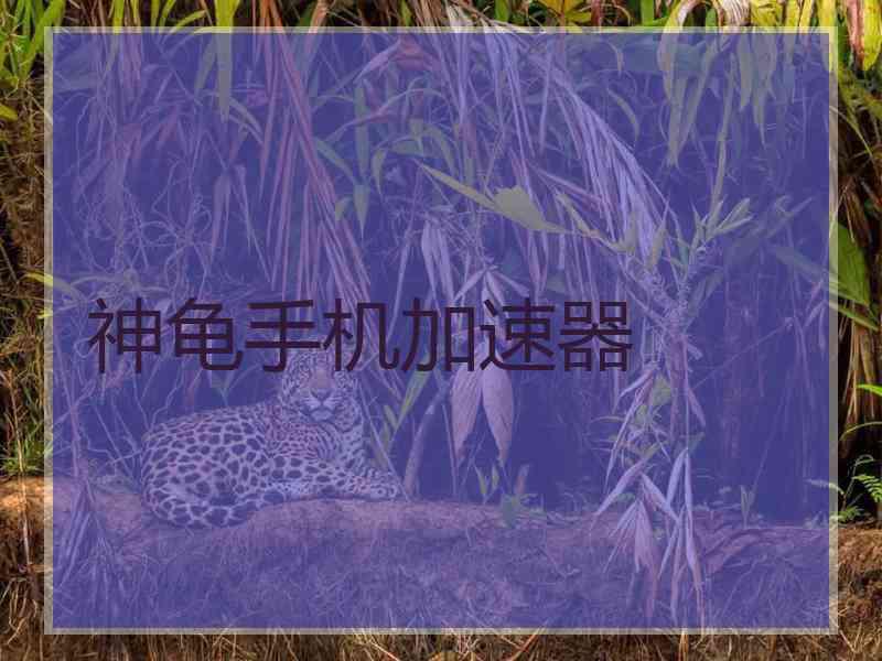 神龟手机加速器