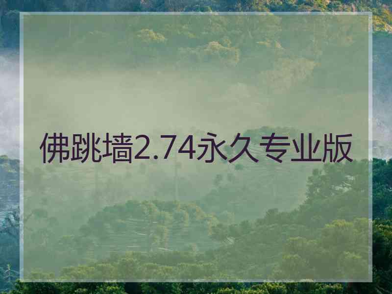 佛跳墙2.74永久专业版