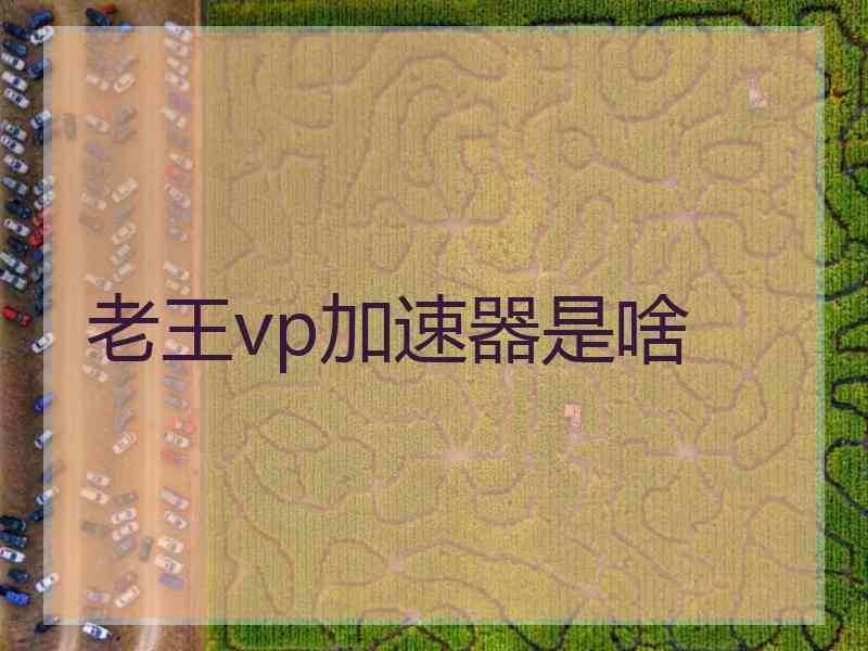 老王vp加速器是啥