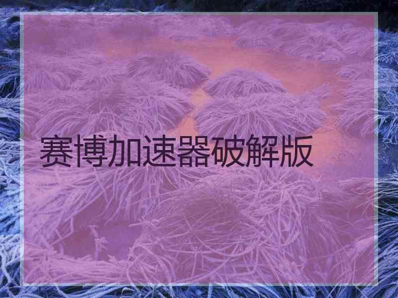 赛博加速器破解版