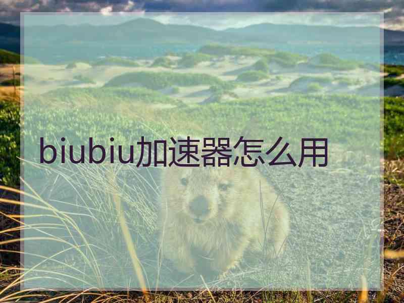 biubiu加速器怎么用