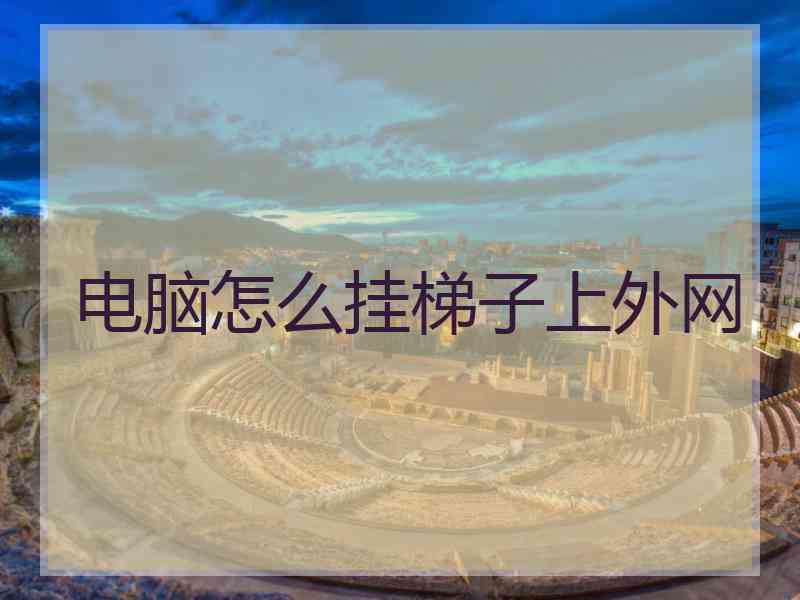 电脑怎么挂梯子上外网