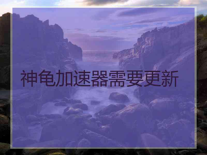 神龟加速器需要更新