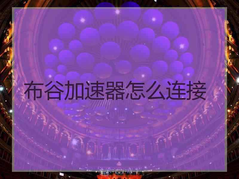 布谷加速器怎么连接