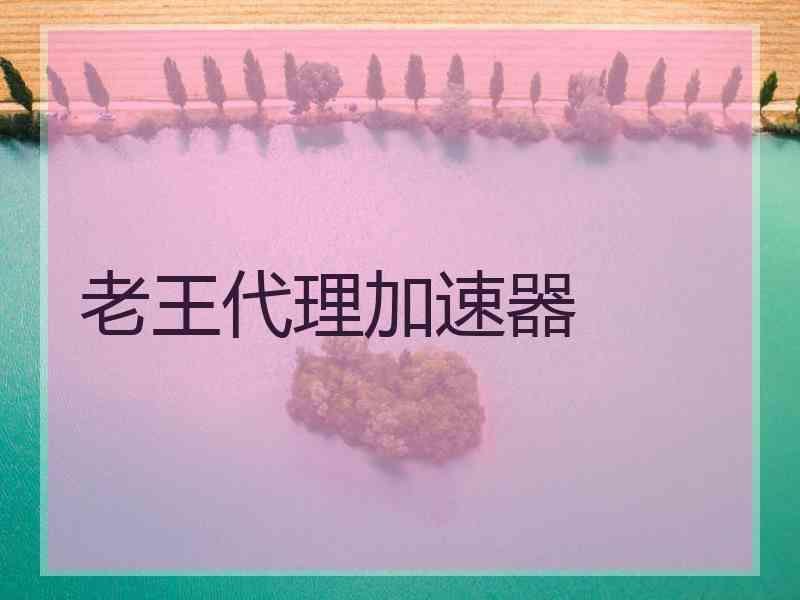老王代理加速器