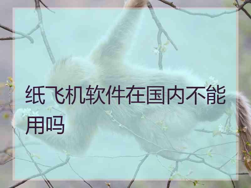 纸飞机软件在国内不能用吗