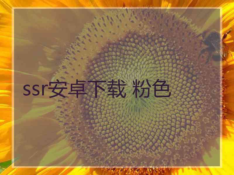 ssr安卓下载 粉色