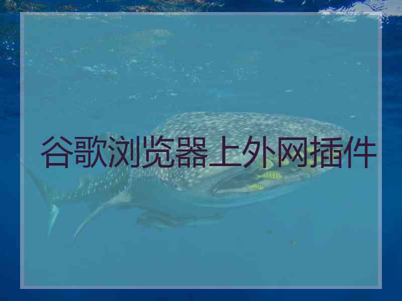 谷歌浏览器上外网插件