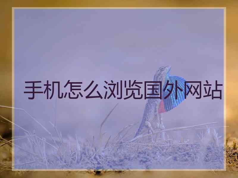 手机怎么浏览国外网站