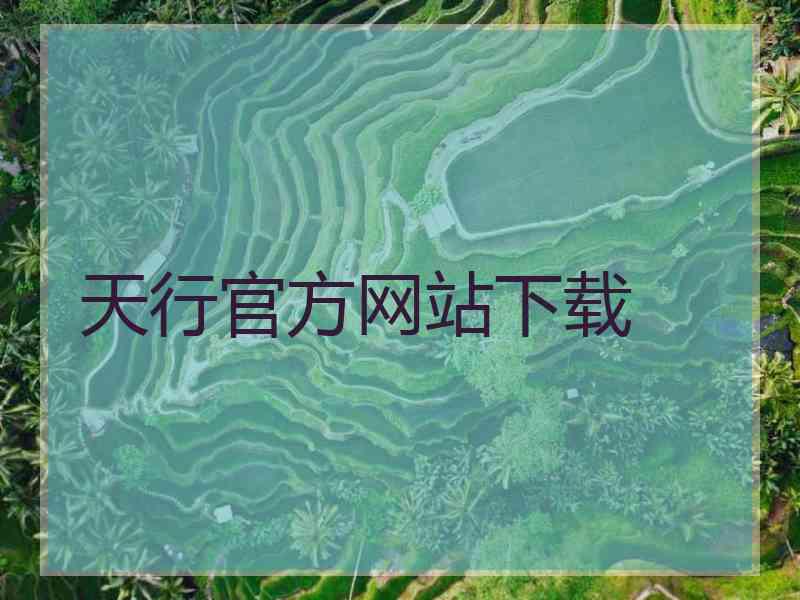天行官方网站下载