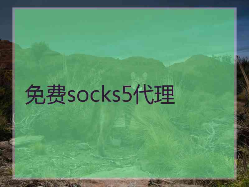 免费socks5代理