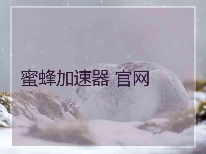 蜜蜂加速器 官网