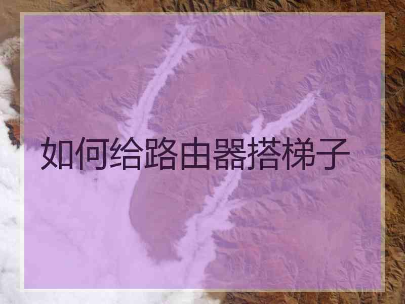 如何给路由器搭梯子
