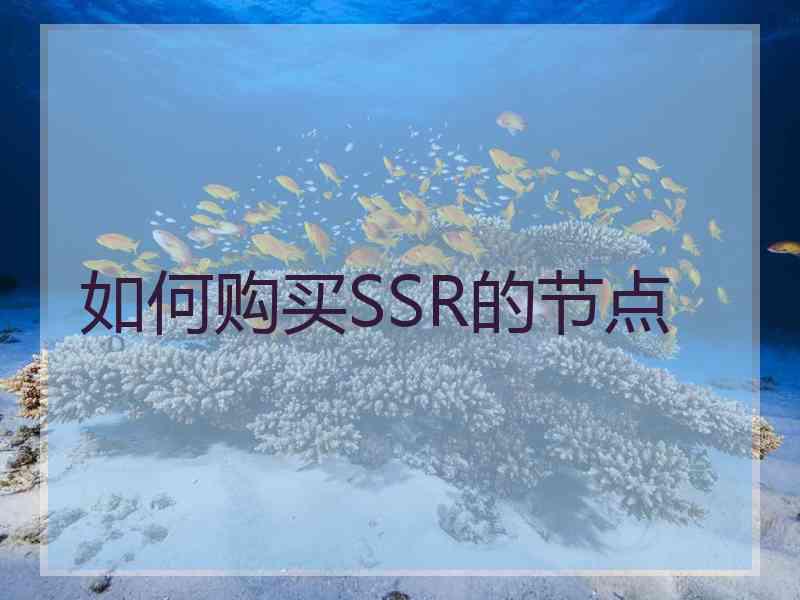如何购买SSR的节点