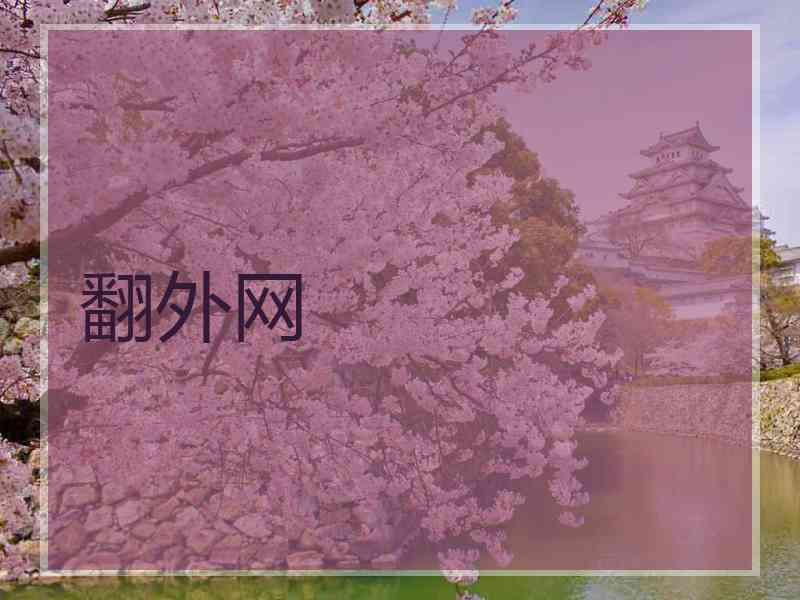 翻外网