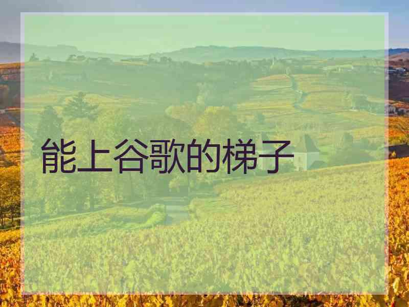 能上谷歌的梯子