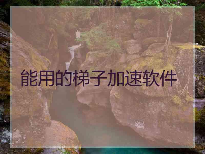 能用的梯子加速软件