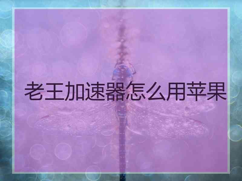 老王加速器怎么用苹果