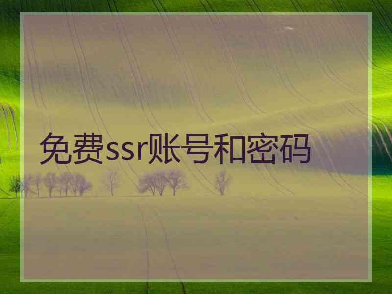 免费ssr账号和密码