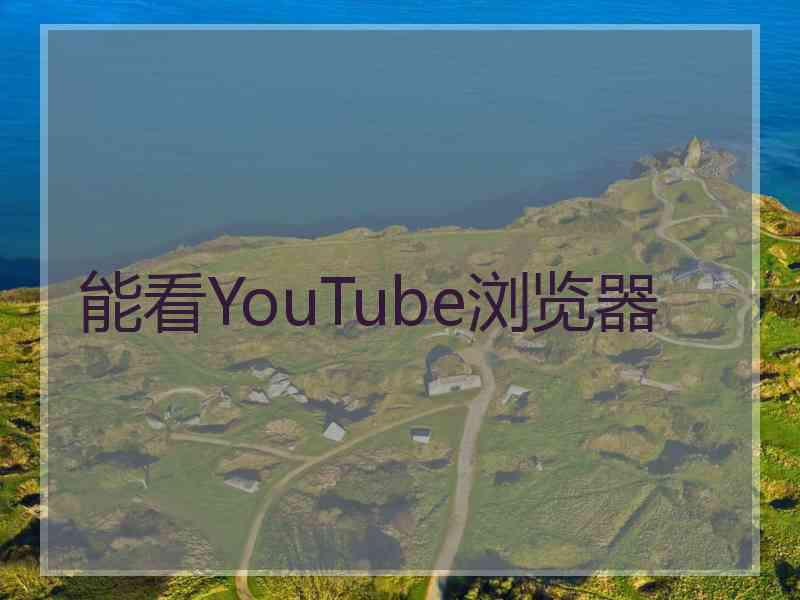 能看YouTube浏览器