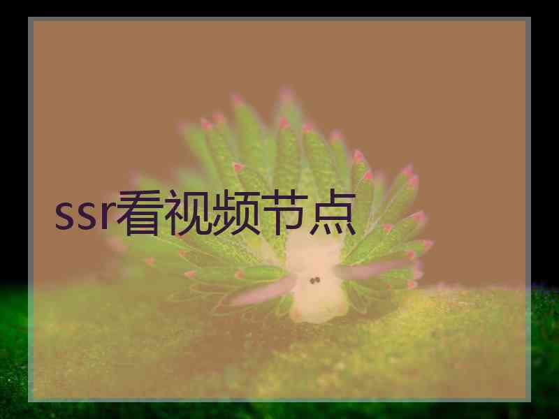 ssr看视频节点