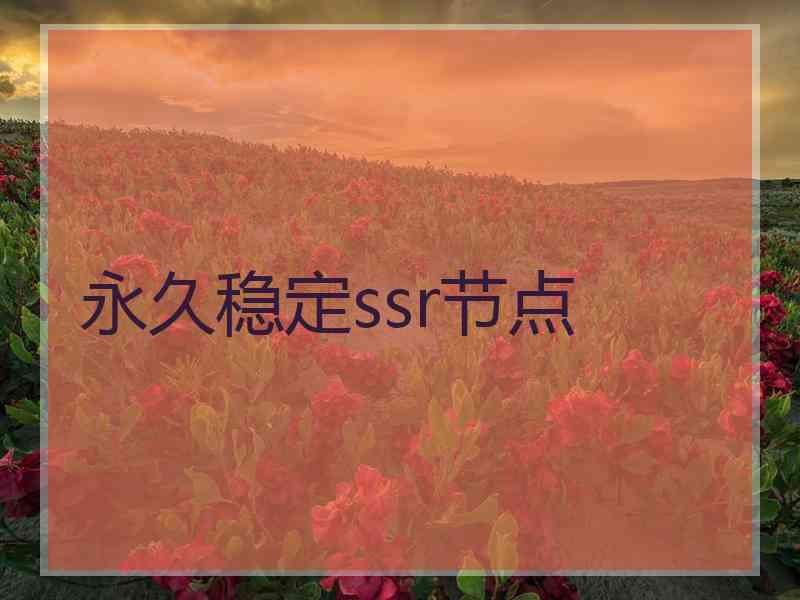 永久稳定ssr节点
