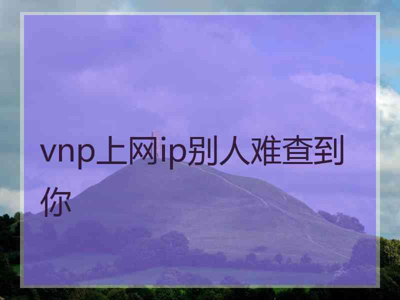 vnp上网ip别人难查到你