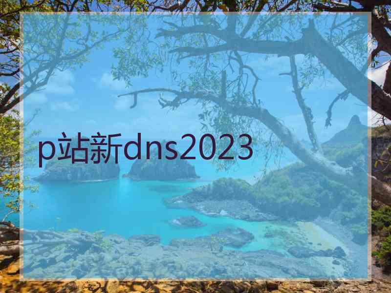p站新dns2023