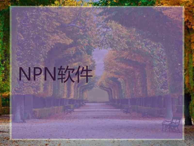 NPN软件