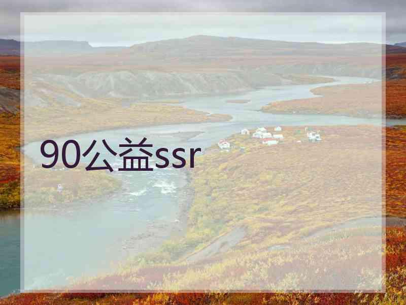 90公益ssr
