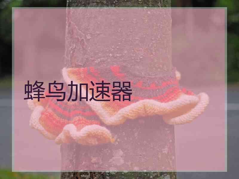 蜂鸟加速器