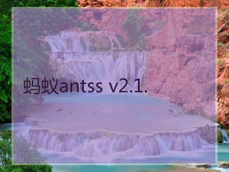 蚂蚁antss v2.1.