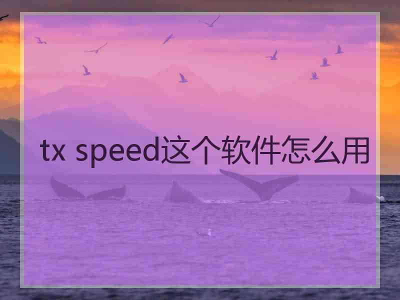 tx speed这个软件怎么用