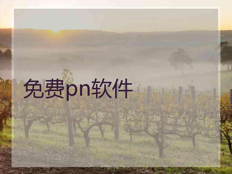 免费pn软件