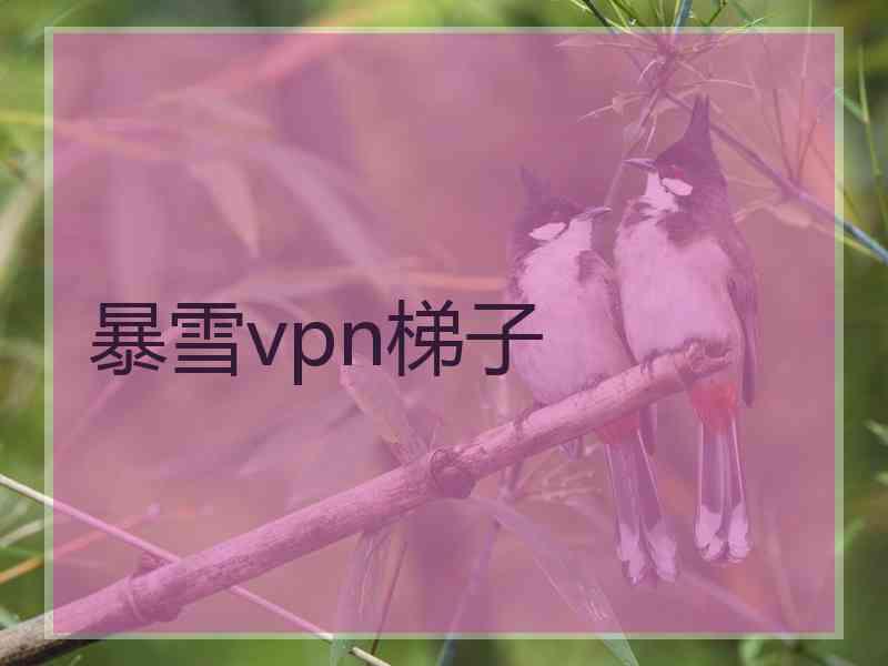暴雪vpn梯子