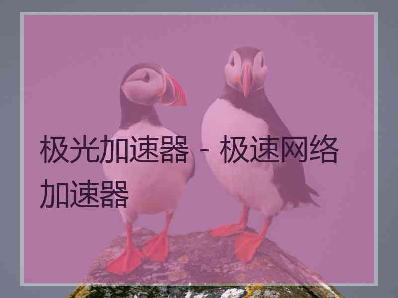 极光加速器 - 极速网络加速器