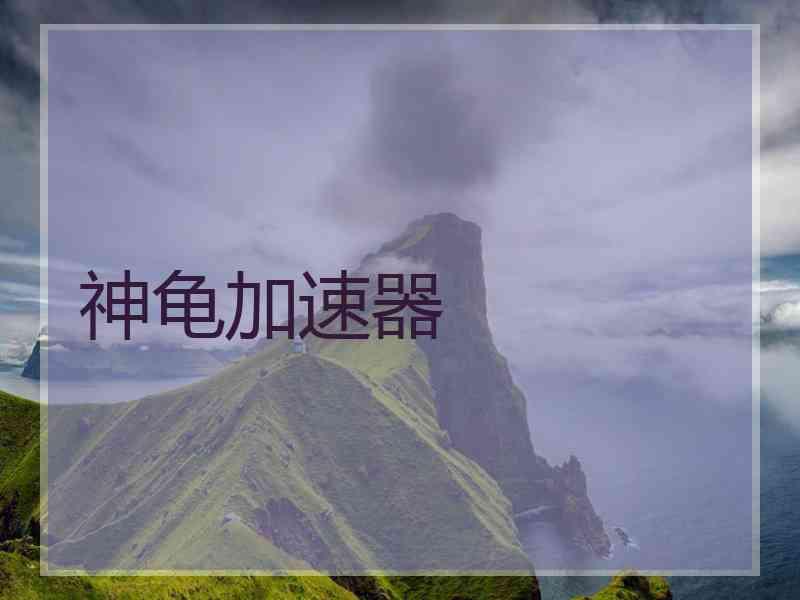 神龟加速器