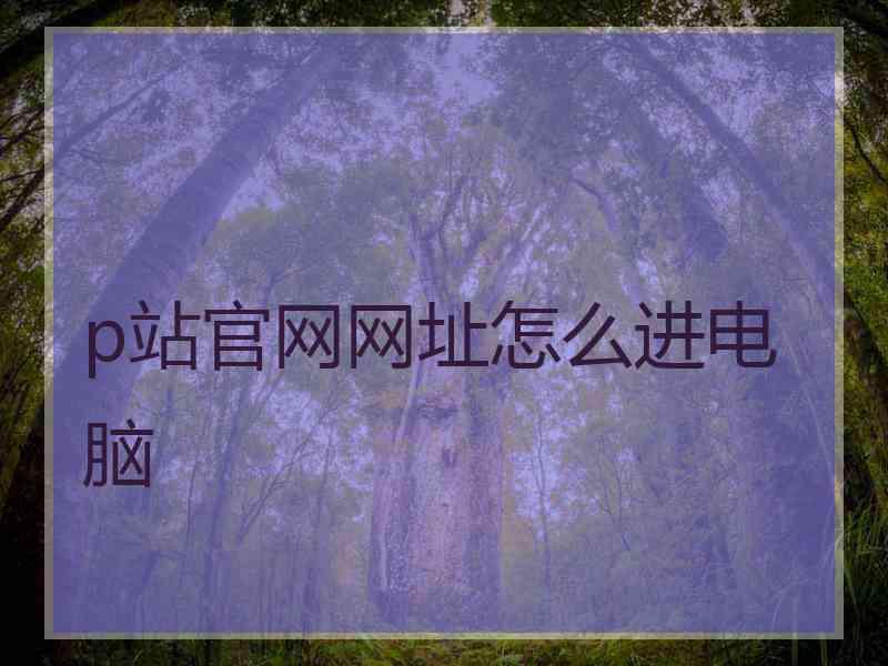 p站官网网址怎么进电脑